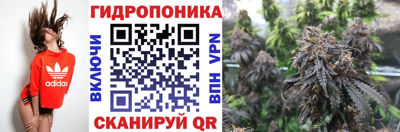 Марихуана планчик  цена   Чапаевск 